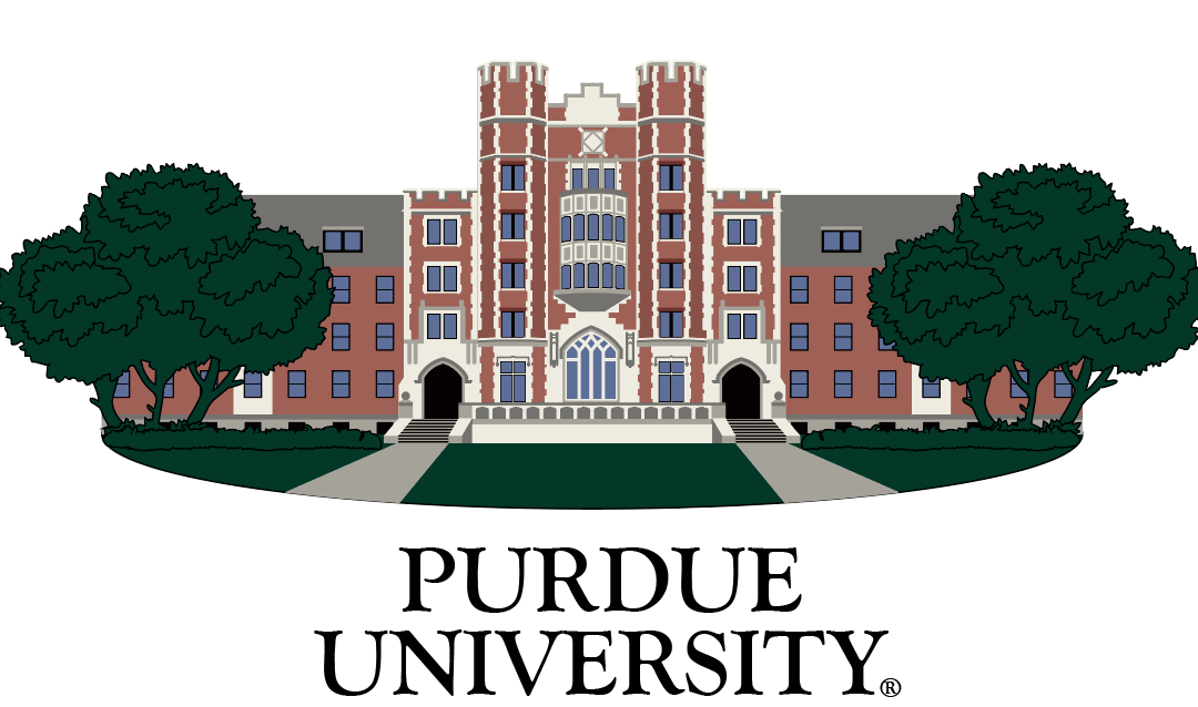 Purdue Crewneck Cary Quad - Black